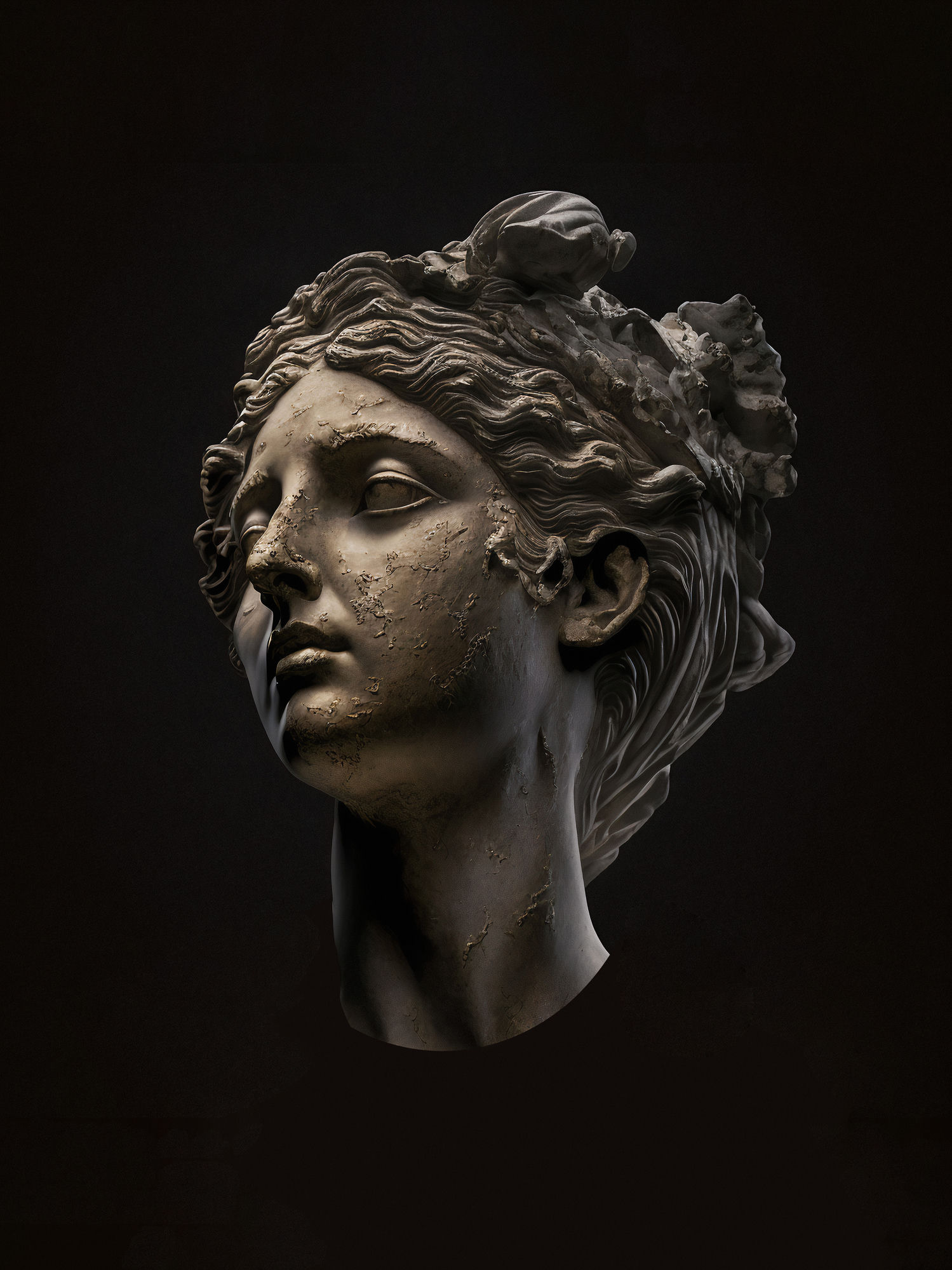 Marble Torso Study
